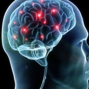 9 Suplemen Terbaik Penunjang Kesehatan Otak