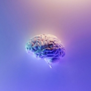 Tips Menjaga Performa Memori Otak, Apa Saja?