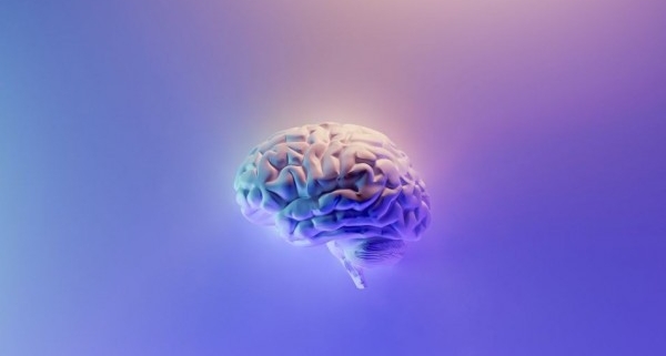 Tips Menjaga Performa Memori Otak, Apa Saja?